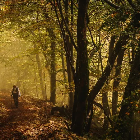 Art'appart Sunset - Center *