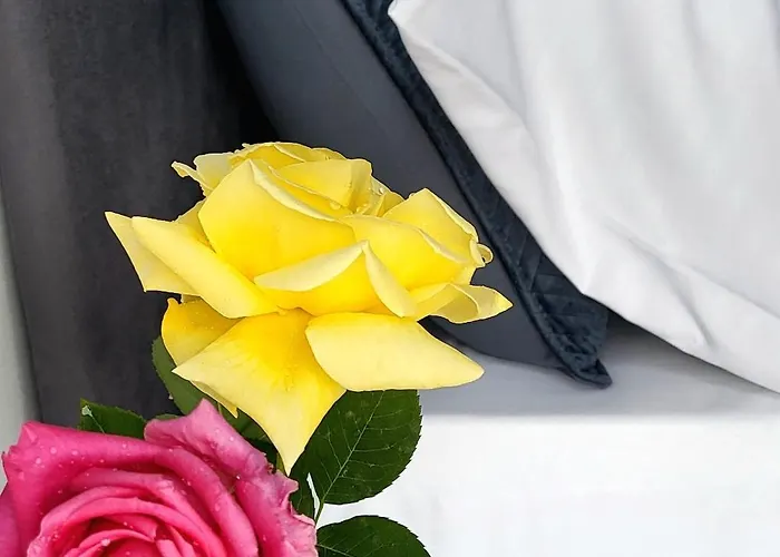 Art'appart Sunset - Center Tirana