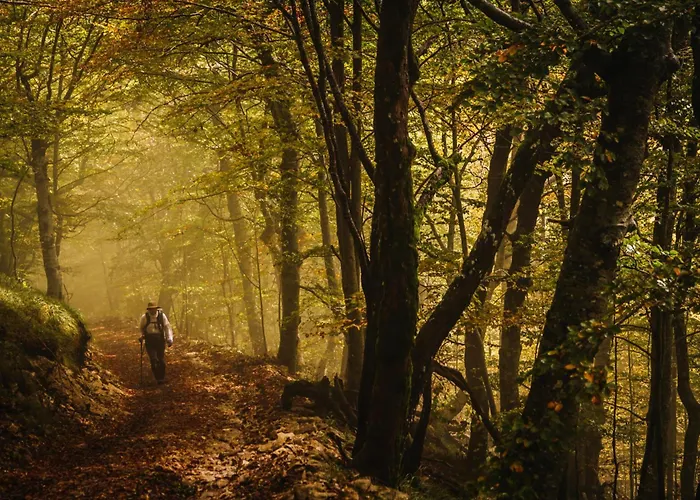 Art'appart Sunset - Center *